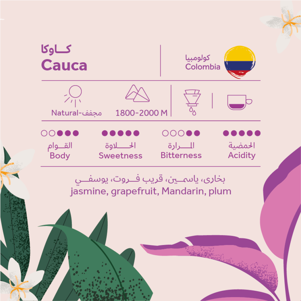 Cauca- Colombia