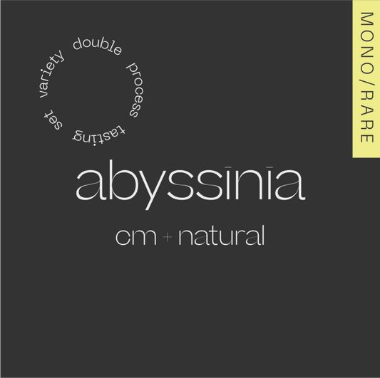 Abyssinia CM + Natural 2x100g - Indonesia (Filter)