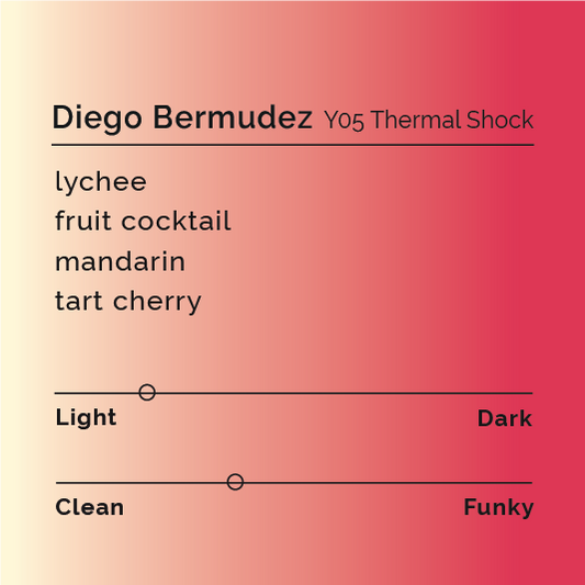 Diego Bermudez Y05 Thermal Shock - Colombia