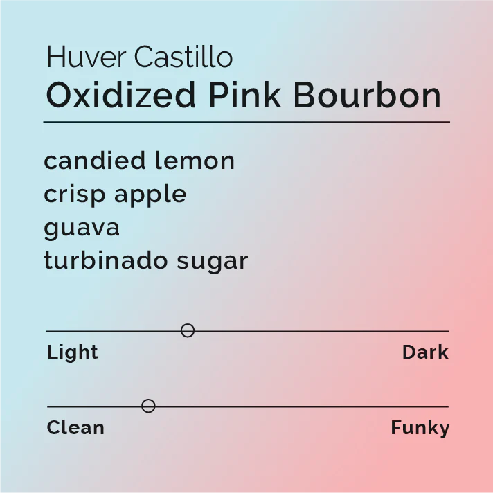 Huver Castillo - Oxidized Pink Bourbon - Colombia