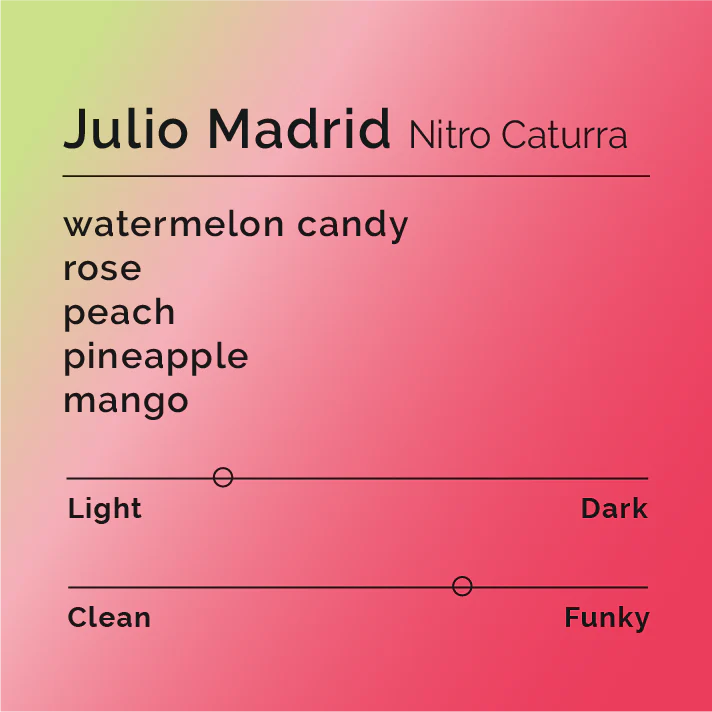 Julio Madrid - Nitro Caturra - Colombia