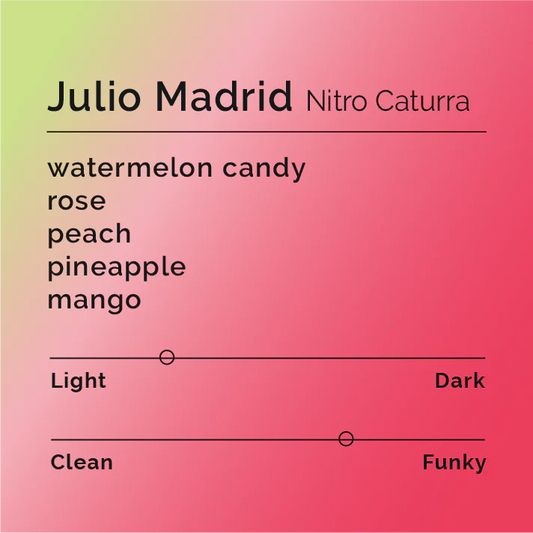 Julio Madrid - Nitro Caturra - Colombia