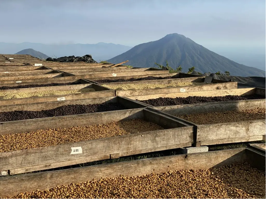 Los Pirineos - El Salvador