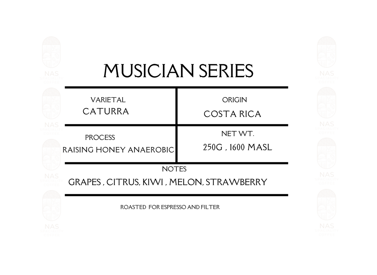 Musician Series - Costa Rica