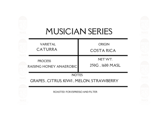 Musician Series - Costa Rica