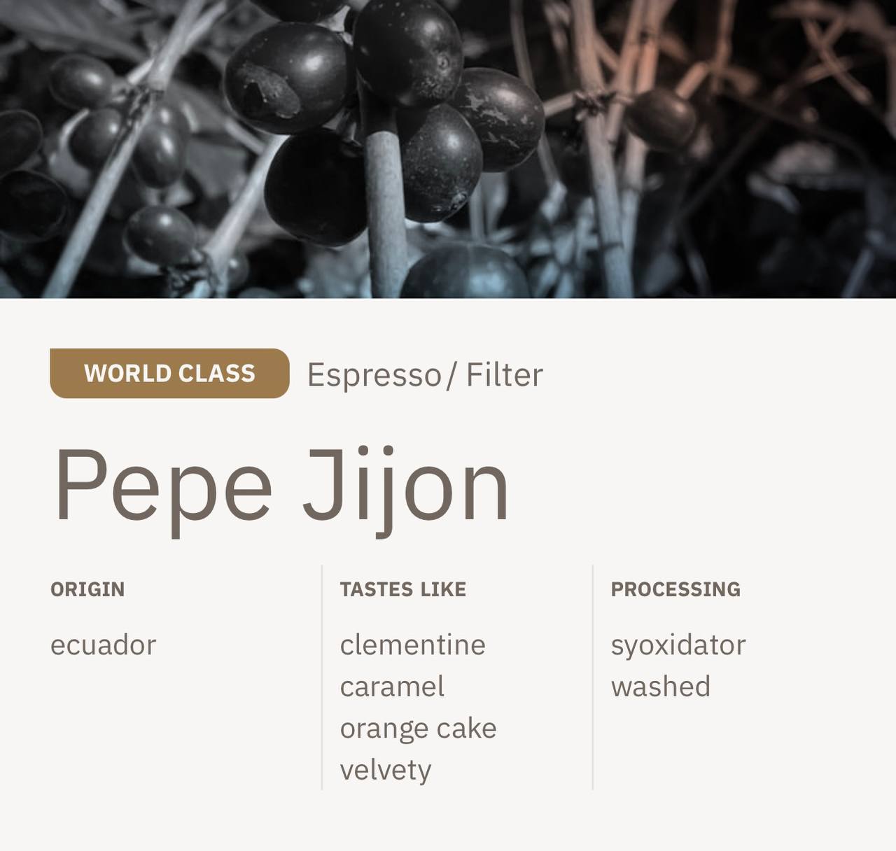 Pepe Jijon Syoxidator - Ecuador (Filter) 125g