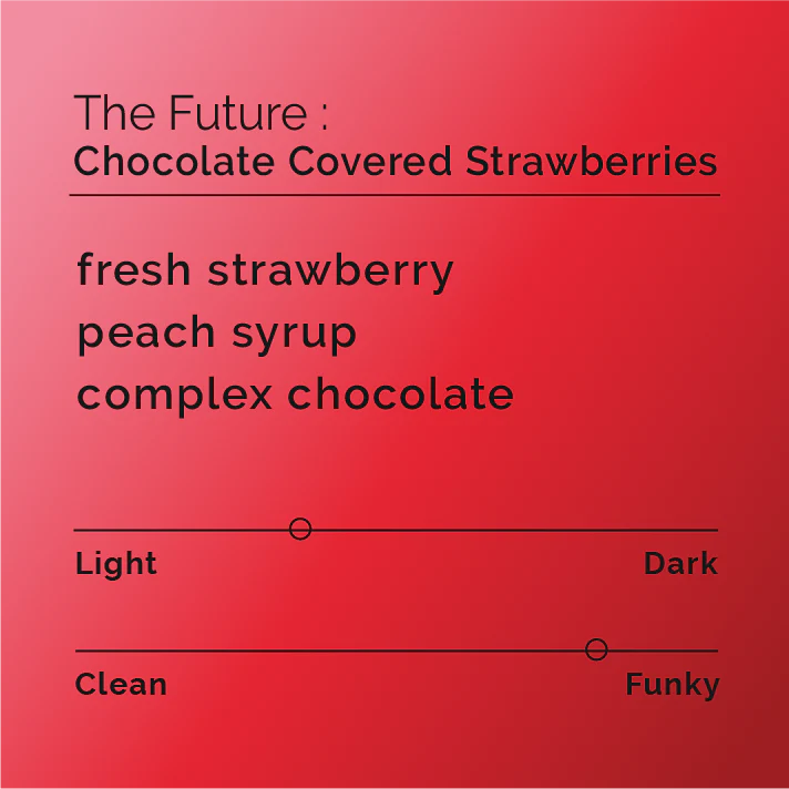 The Future - Chocolate Covered Strawberries- Colombia - El Salvador