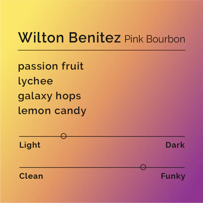 Wilton Benitez - Pink Bourbon - Colombia