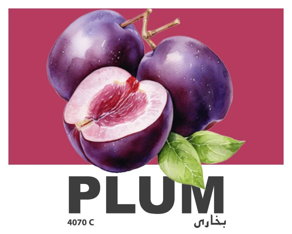 Plum - Anaerobic - Colombia (Filter)