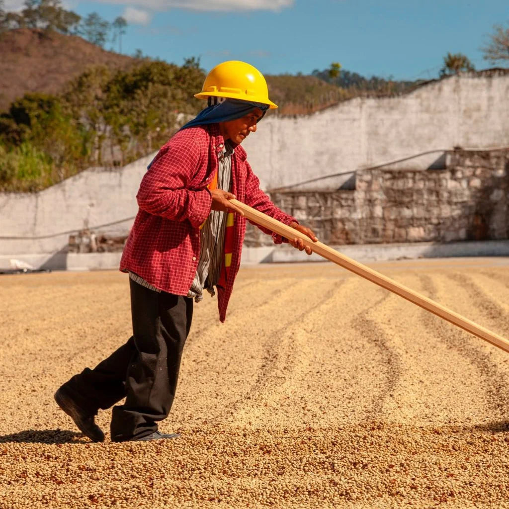 Comsa - Honduras (Espresso) 1kg