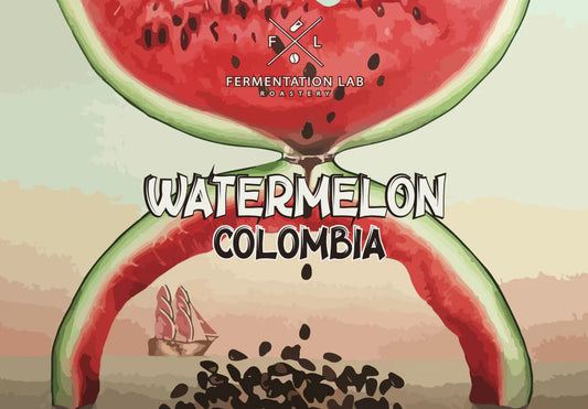 WATERMELON - Colombia (infused) (Filter)