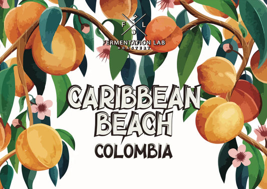 CARIBBEAN BEACH- Colombia (infused) (Filter)